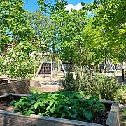 Grüner Spielplatz der Kita mit Klettergerüst, Holzhochbeeten und Blumen bei Sonnenschein