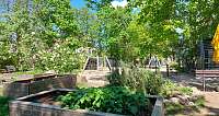Grüner Spielplatz der Kita mit Klettergerüst, Holzhochbeeten und Blumen bei Sonnenschein